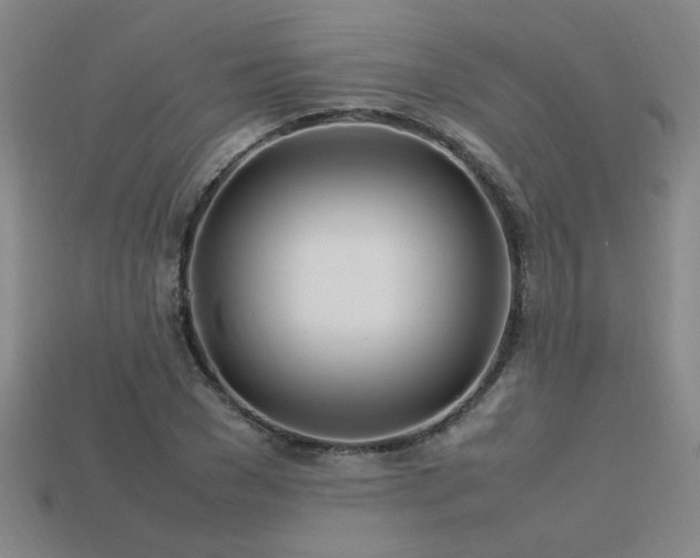 X0000113620977200909181436