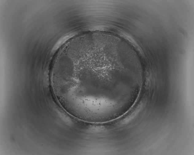 X0000113620978200909181436