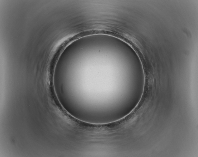 X0000113620979200909181436