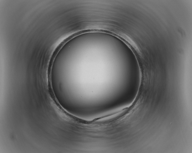 X0000113620980200909181436