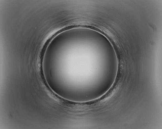 X0000113620981200909181436