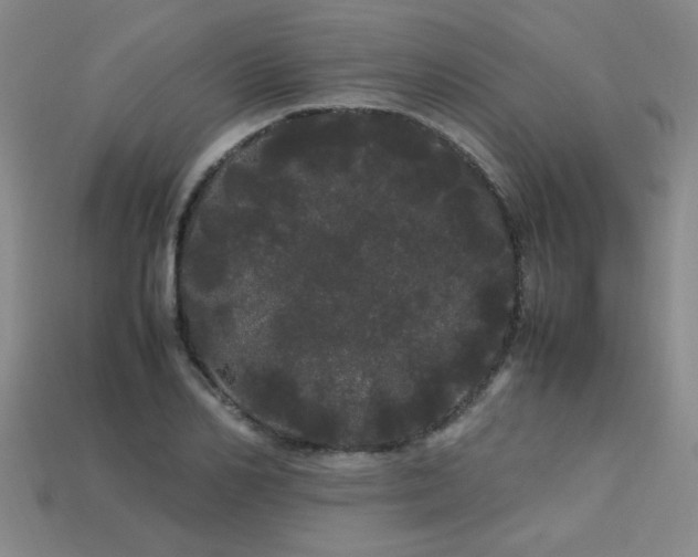 X0000113620982200909181436