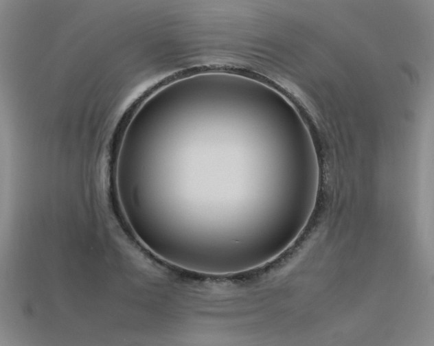 X0000113620983200909181436