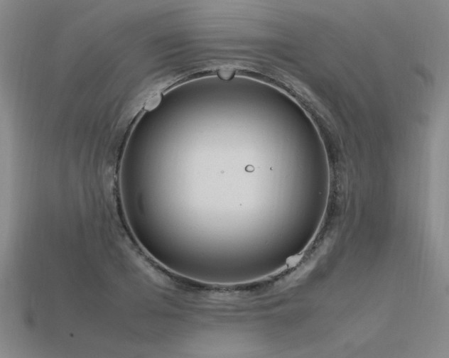 X0000113620985200909181436