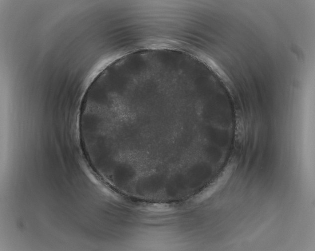 X0000113620986200909181436