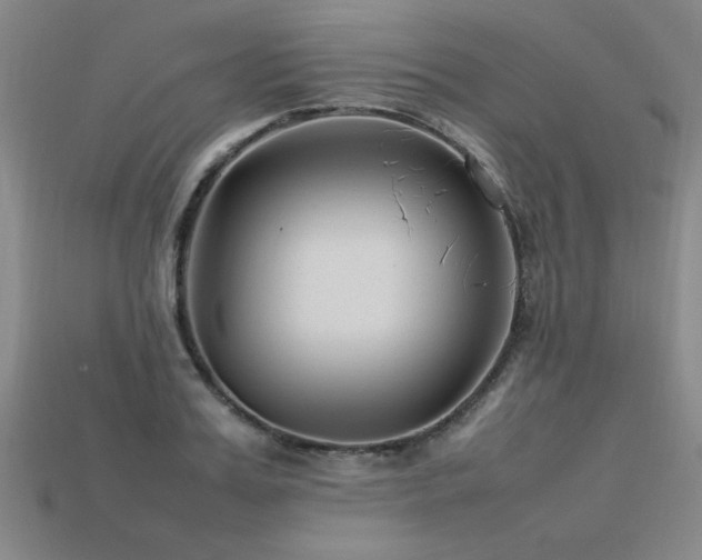 X0000113620987200909181436