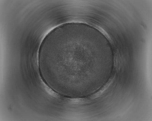 X0000113620988200909181436