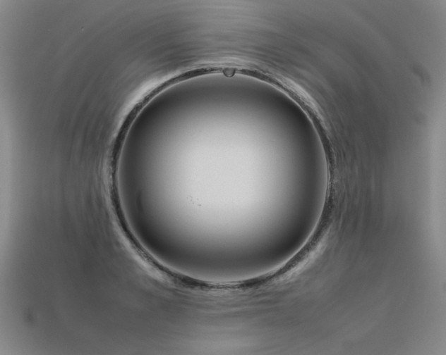 X0000113620989200909181436