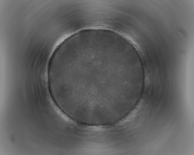 X0000113620990200909181436