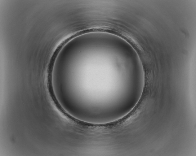 X0000113620991200909181436