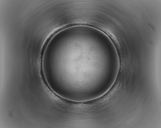 X0000113620992200909181436