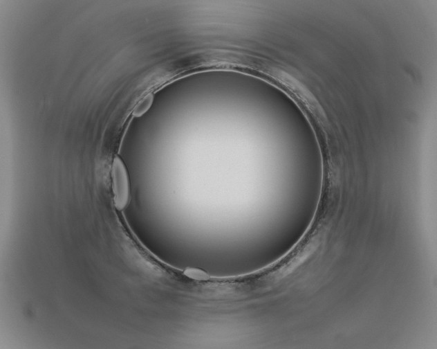 X0000113620993200909181436