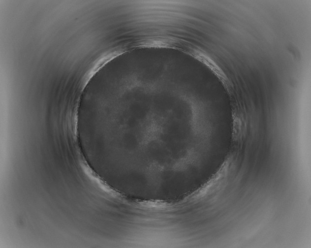 X0000113620994200909181436