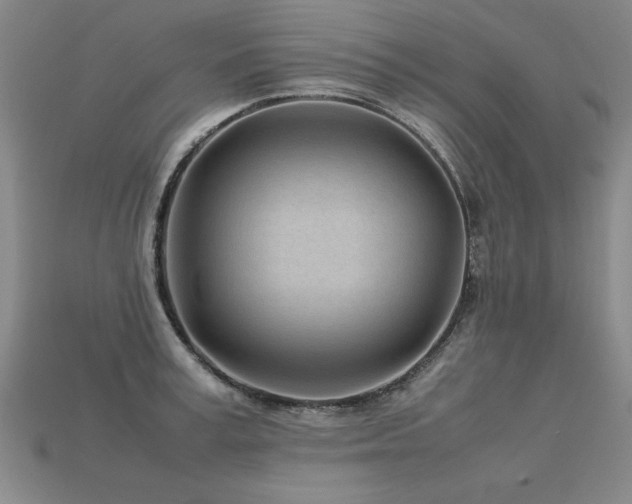 X0000113620995200909181435