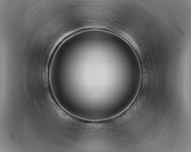 X0000113620996200909181435