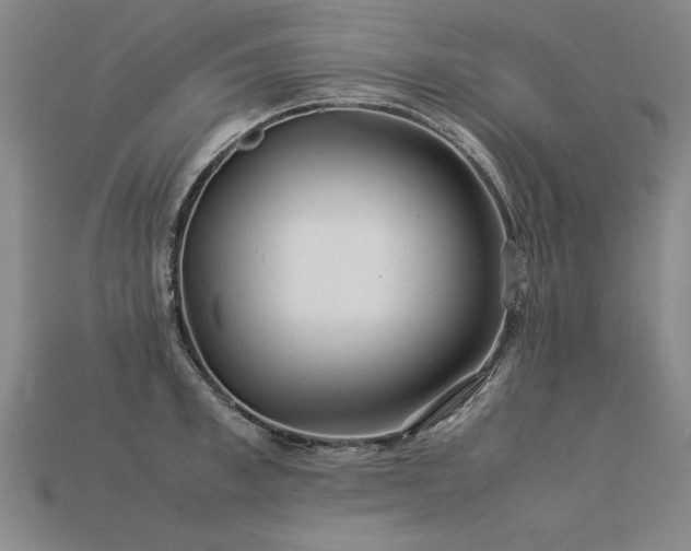 X0000113620997200909181435