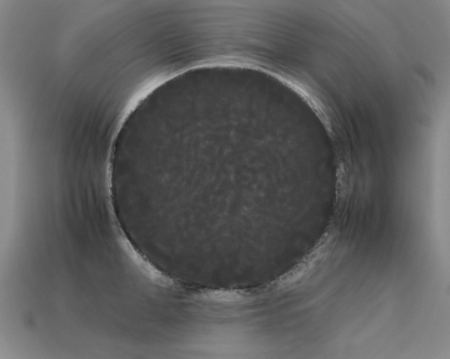 X0000113620998200909181435