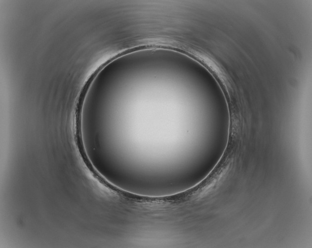 X0000113620999200909181435