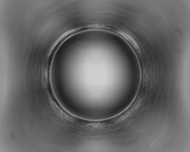 X0000113621000200909181435