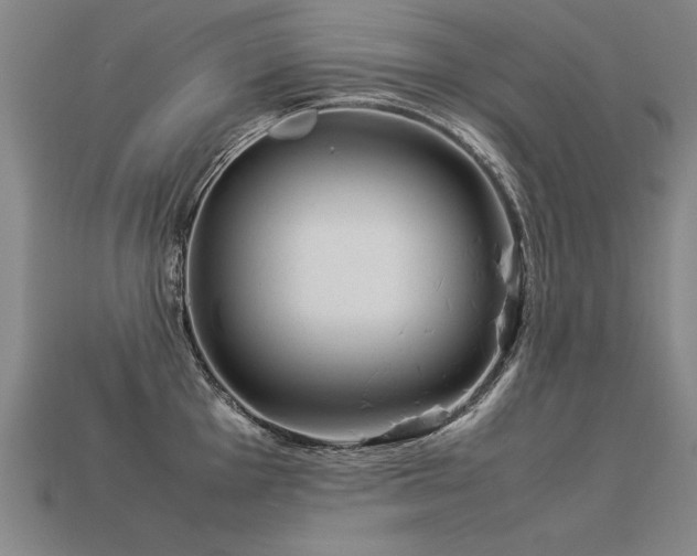 X0000113621001200909181435