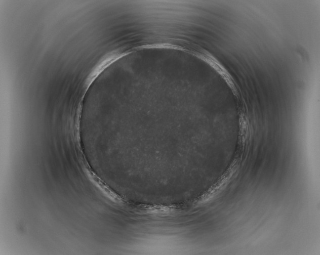 X0000113621002200909181435