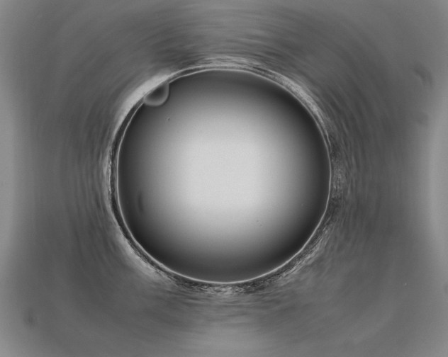 X0000113621003200909181435