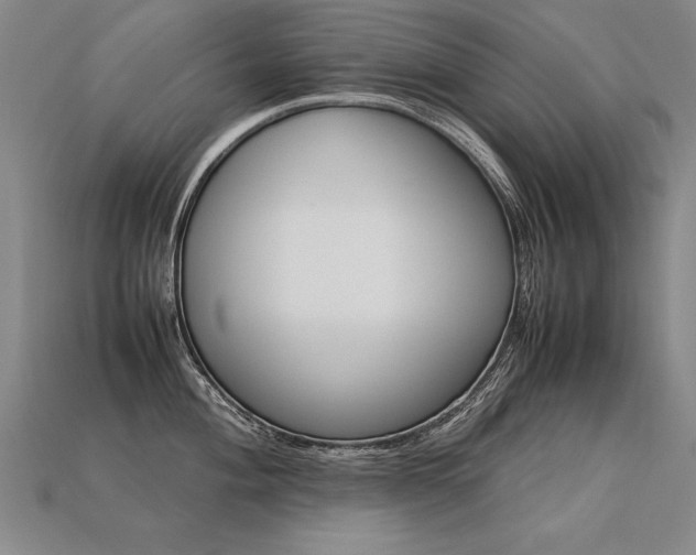 X0000113621004200909181435