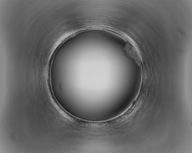 X0000113621005200909181435