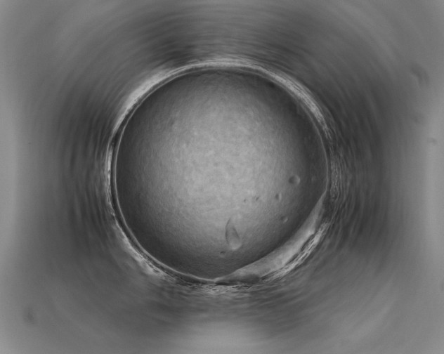 X0000113621006200909181435