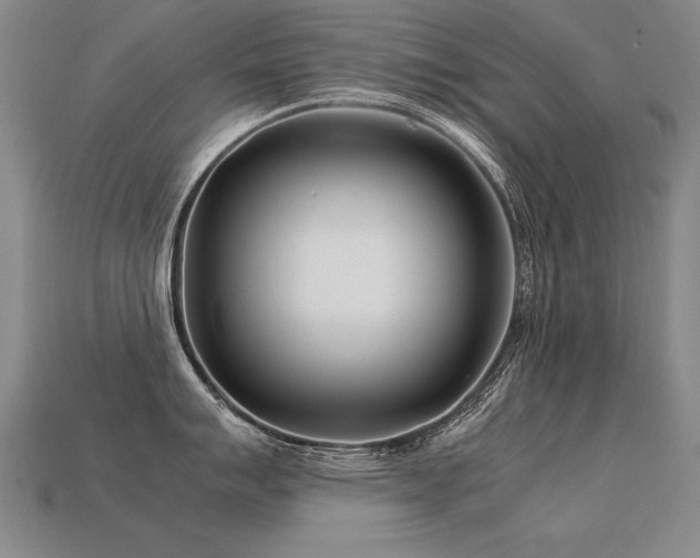 X0000113621007200909181435