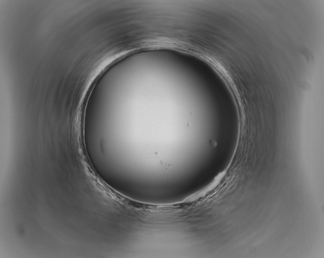 X0000113621008200909181435