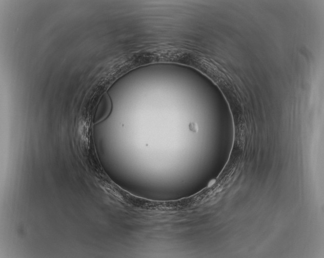 X0000113621010200909181435