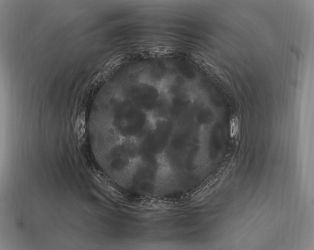 X0000113621011200909181435