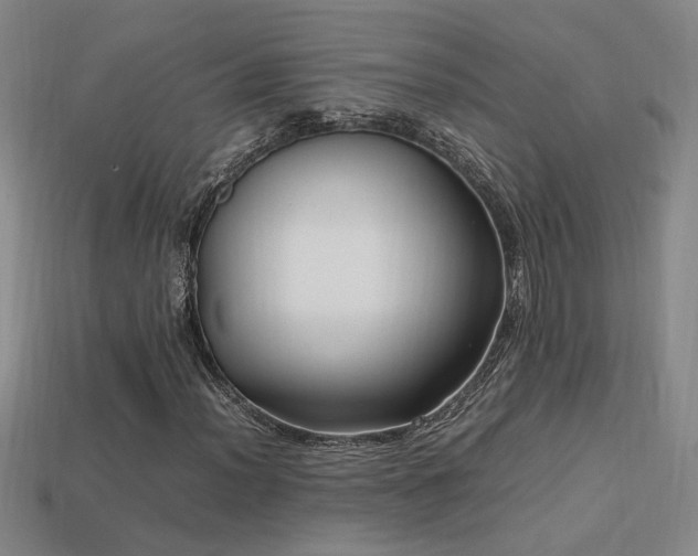 X0000113621012200909181435