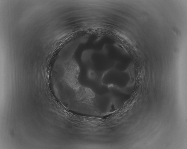 X0000113621013200909181435