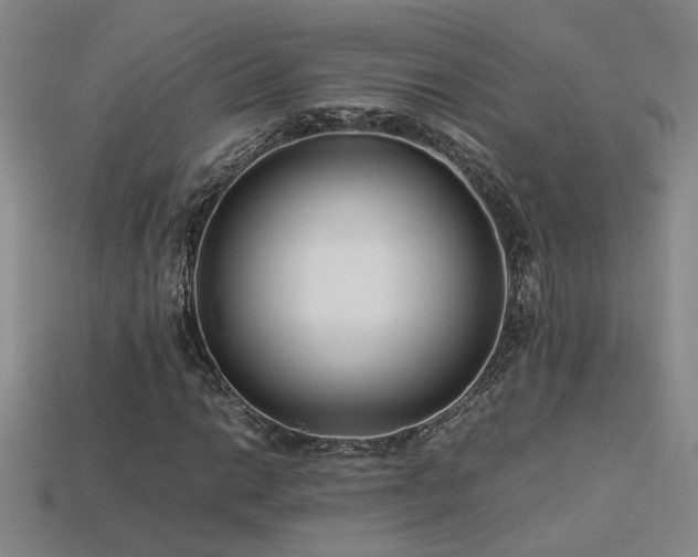 X0000113621014200909181435