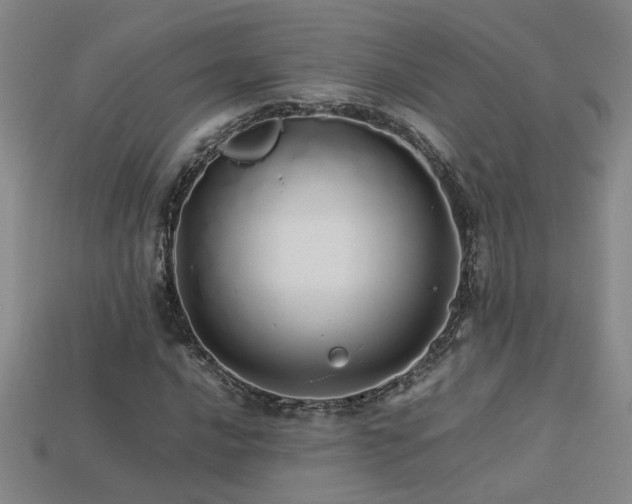 X0000113621016200909181435