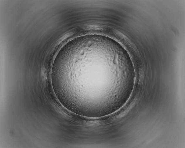 X0000113621017200909181435