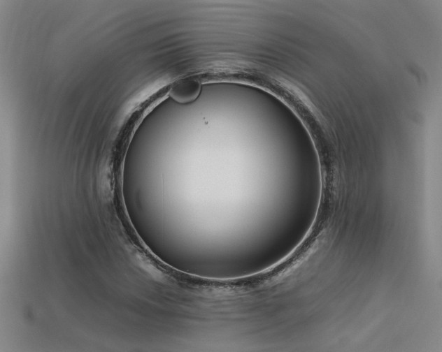 X0000113621018200909181435