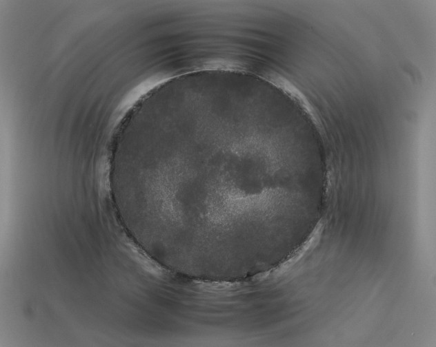 X0000113621019200909181435