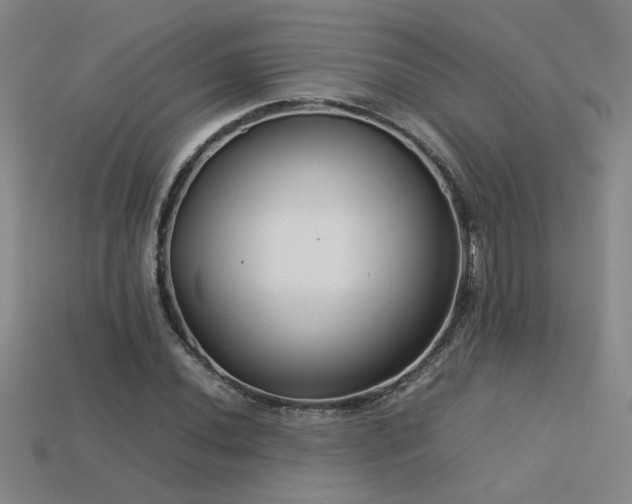 X0000113621020200909181435