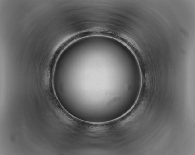 X0000113621021200909181435