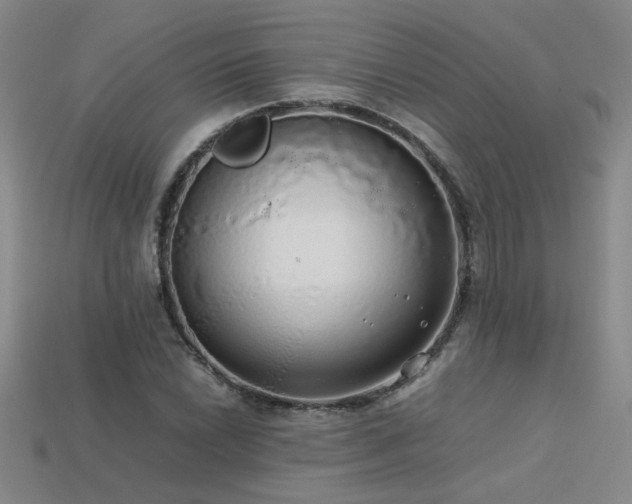 X0000113621022200909181435