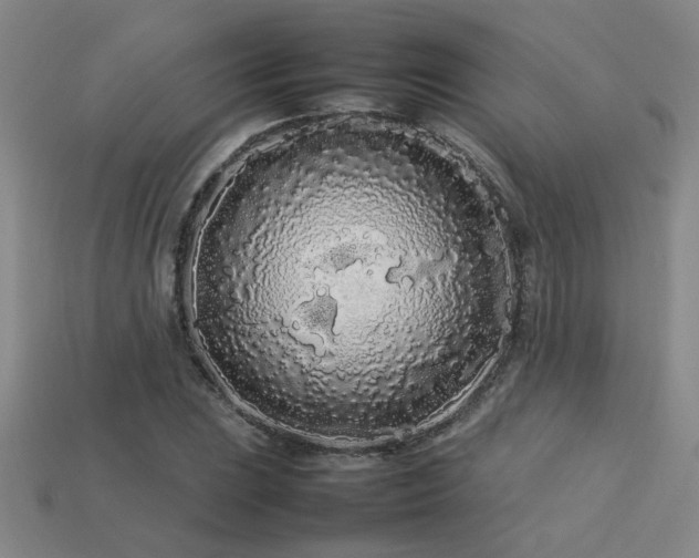 X0000113621023200909181435