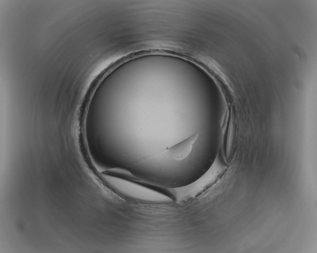 X0000113621024200909181435