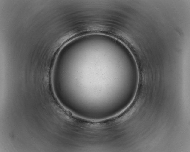 X0000113621025200909181435