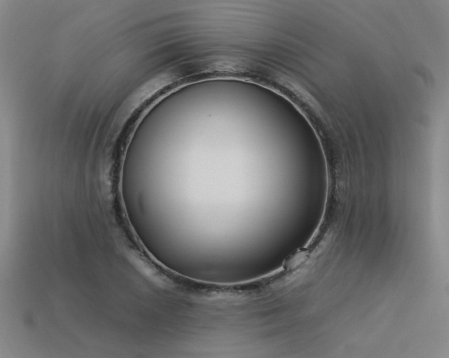 X0000113621026200909181435