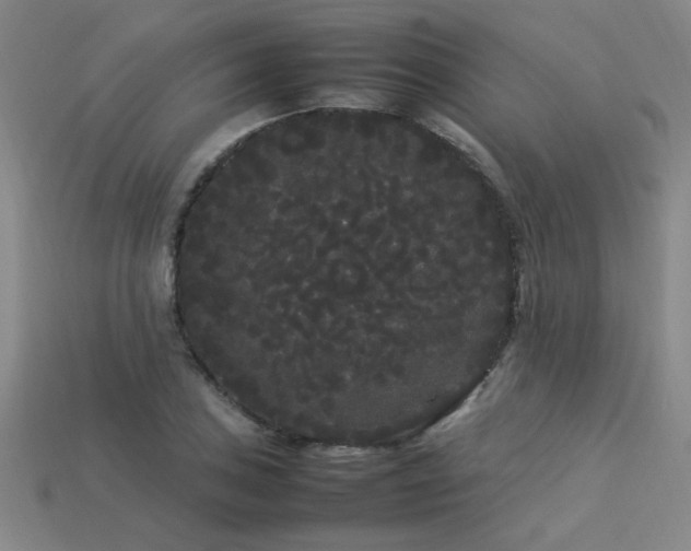 X0000113621027200909181435