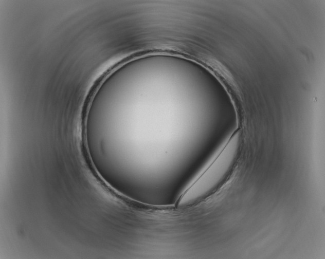 X0000113621028200909181435