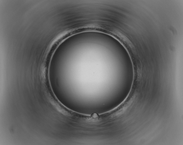 X0000113621029200909181435